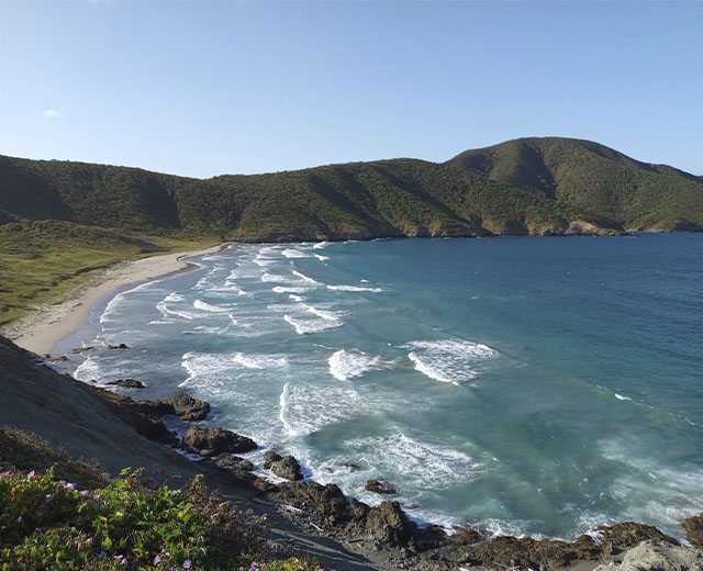 7 olas beach in santa marta